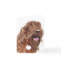Chocolate Labradoodle #1 Notecards by mozache Chocolate Labradoodle #1 Notecards
