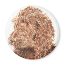 Chocolate Labradoodle #2 Magnet