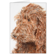 Chocolate Labradoodle #2 Notecard