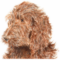 Chocolate Labradoodle #2 Sculpture photo sculptures