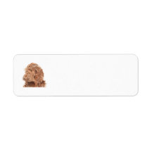 Chocolate Labradoodle Custom Return Address Labels