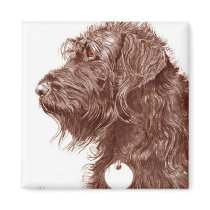 Chocolate Labradoodle Magnet by mozache Chocolate Labradoodle Magnet