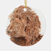 Chocolate Labradoodle Ornament