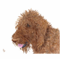 Chocolate Labradoodle Sculpture photo sculptures