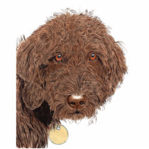 Chocolate Labradoodle Sculpture photo sculptures