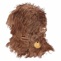 Chocolate Labradoodle Xena Sculpture photo sculptures