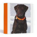 Chocolate Labrador Binder binders
