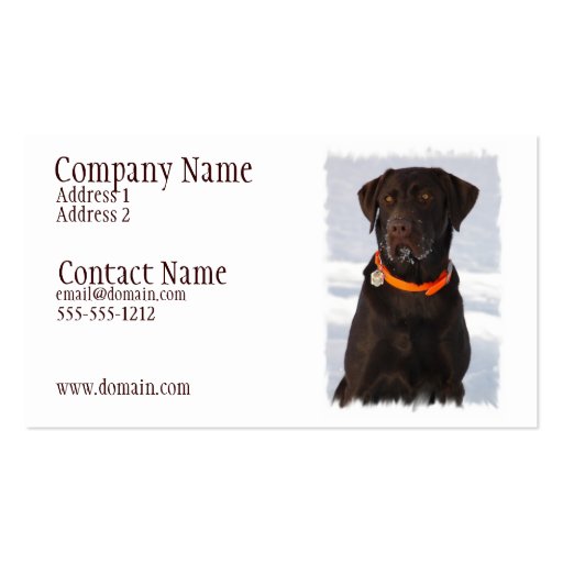 Chocolate Labrador Busines Card Business Cards (front side)