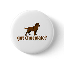 Chocolate Labrador Pinback Button