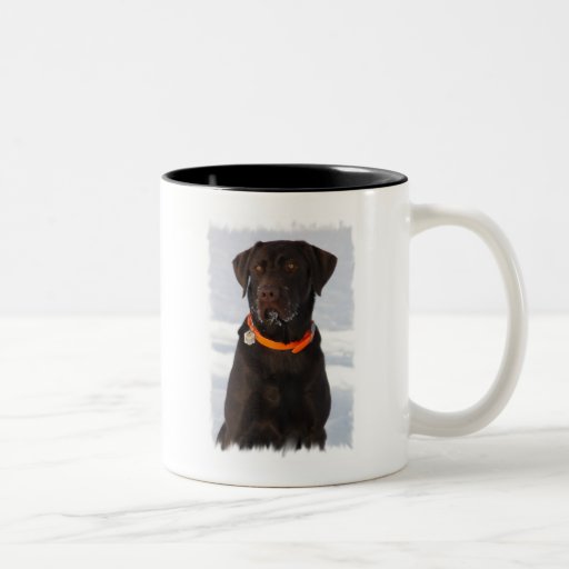 Chocolate Labrador Coffee Mug | Zazzle