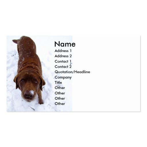 Chocolate Labrador in Snow Business Card (front side)