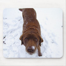 Chocolate Labrador in Snow Mouse Mat