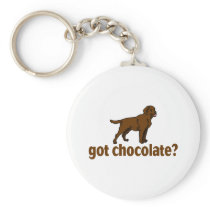 Chocolate Labrador Keychains