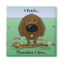 Chocolate Labrador (Labs) - I Fetch...Magnet magnet