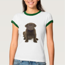 Chocolate Labrador Ladies T-Shirt