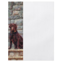 Chocolate Labrador on Porch Flyers