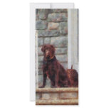 Chocolate Labrador on Porch Rack Card Template