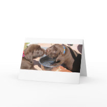 Chocolate Labrador Puppies cards by plellski Chocolate Labrador Puppies cards