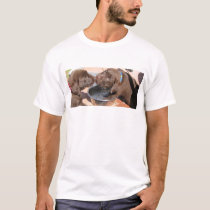 Chocolate Labrador Puppies Play t-shirts by plellski Chocolate Labrador Puppies Play t-shirts