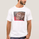 Chocolate Labrador Puppy Ponders t-shirts