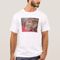 Chocolate Labrador Puppy Ponders t-shirts by plellski Chocolate Labrador Puppy Ponders t-shirts