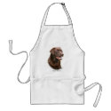 Chocolate Labrador Retriever aprons