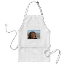 Chocolate Labrador Retriever Apron