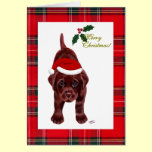 Chocolate Labrador Retriever Christmas Card cards