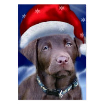 Chocolate Labrador Retriever Christmas Gifts business cards