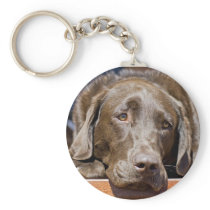 Chocolate Labrador Retriever Key Chain