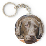 Chocolate Labrador Retriever Key Chain