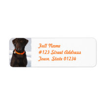 Chocolate Labrador Retriever Mailing Label