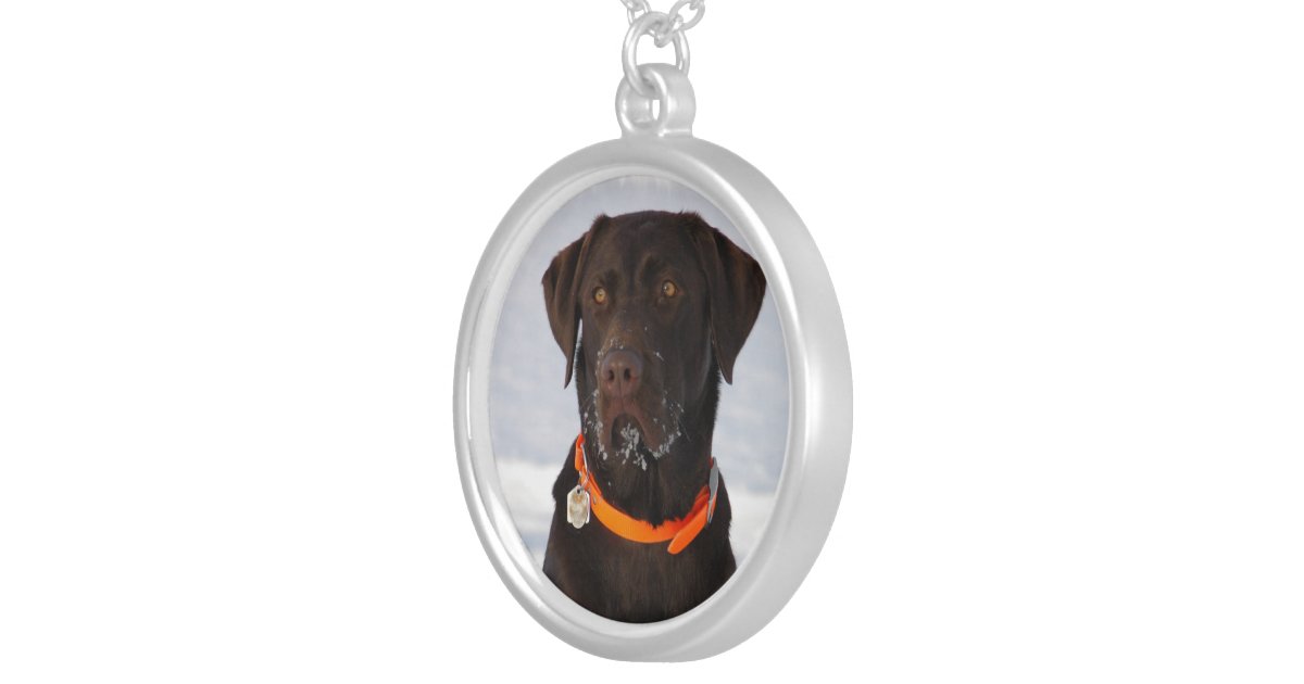 Chocolate Labrador Retriever Necklace Zazzle