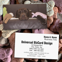 Chocolate Labrador Retriever Photograph business cards