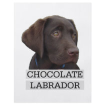 Chocolate Labrador Unique design! flyers