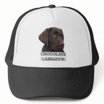 Chocolate Labrador Unique design! Trucker Hats
