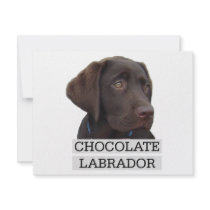 Chocolate Labrador Unique design! invitations