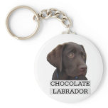 Chocolate Labrador Unique design! Key Chain