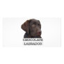 Chocolate Labrador Unique design! Picture Card
