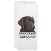 Chocolate Labrador Unique design! Custom Rack Cards