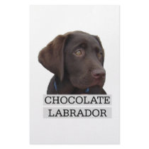Chocolate Labrador Unique design! stationery