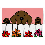 Chocolate Labrador watching you Card