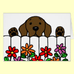 Chocolate Labrador watching you cards