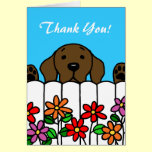 Chocolate Labrador watching you cards