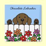 Chocolate Labrador watching you magnets