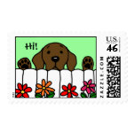 Chocolate Labrador watching you Postage Stamps