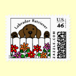 Chocolate Labrador watching you stamps