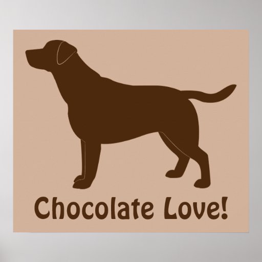 Chocolate Love Labrador Retriever in Silhouette Poster | Zazzle