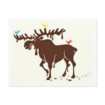 chocolate_moose_tshirt post cards