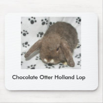 Chocolate Otter Holland Lop Mouse Pad mousepads by up2l1979 Chocolate Otter Holland Lop Mouse Pad mousepads